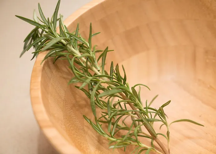 Kapetan Matapas 16th Cen. Tower Areopoli